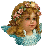 cherub